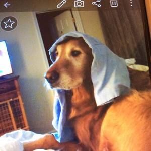 Meet your Posher, Deborah